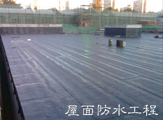 從根本上解決和防治建筑屋面滲漏問題，專家給出的方案是從防水系統(tǒng)設(shè)計、施工過程、材料選材及質(zhì)量監(jiān)管和后期的管理維護等方面著手，嚴格規(guī)范