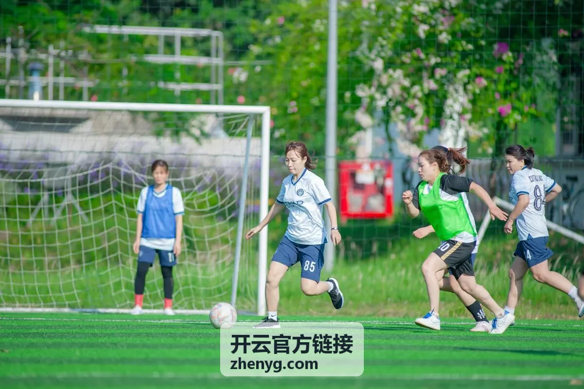 开云官方链接入口首页界面示意
